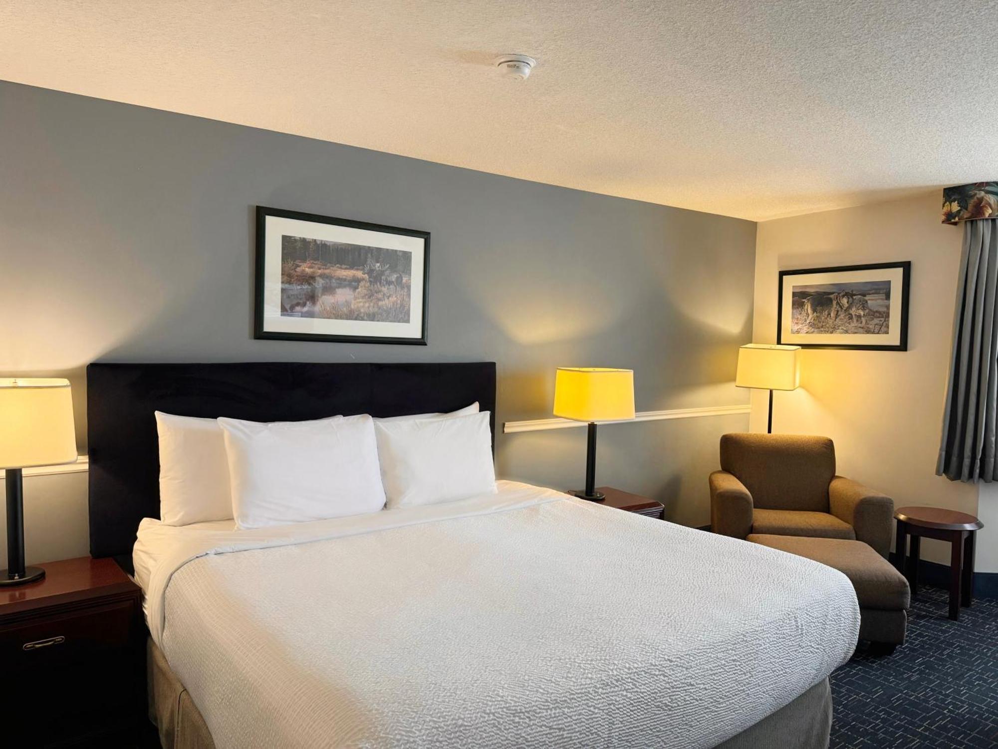 Divya Sutra Plaza And Conference Centre Calgary Airport Hotel Ngoại thất bức ảnh